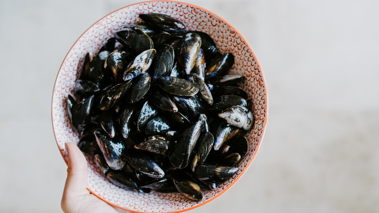 Fresh mussels served in a bowl.
